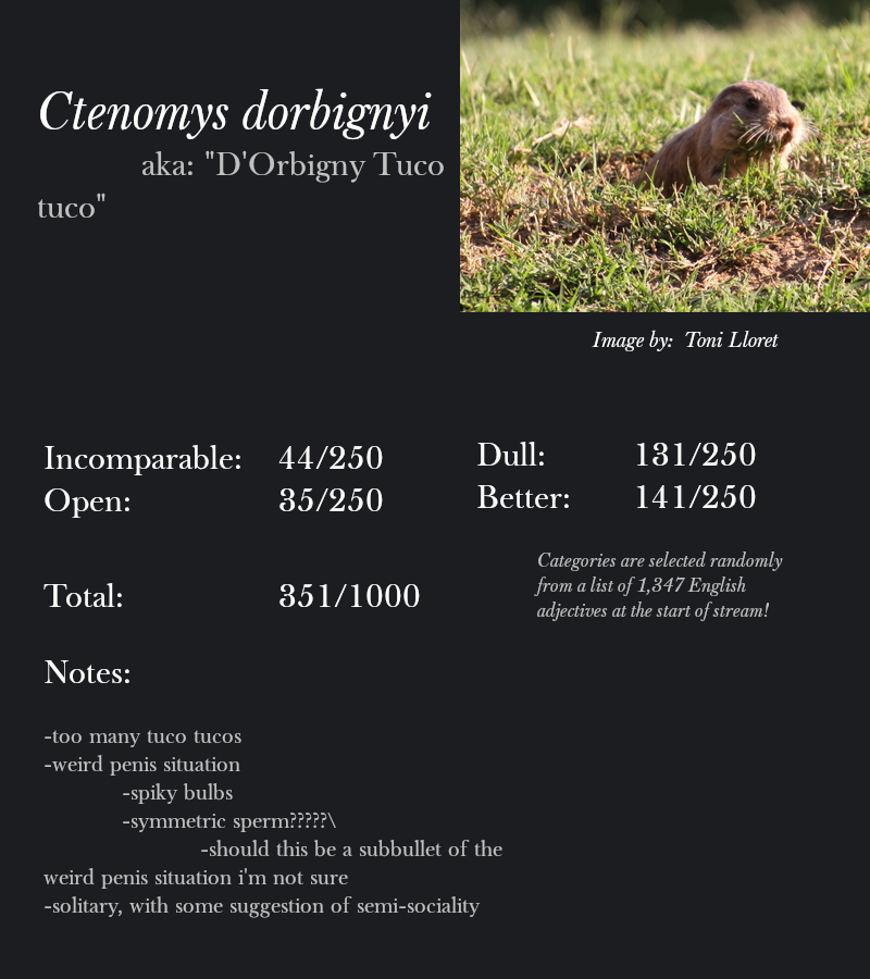 Ctenomys dorbignyi